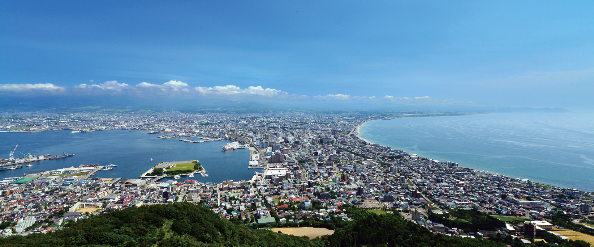 特定医療法人　富田病院